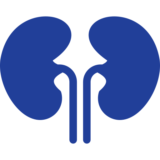 Definición de Insuficiencia Renal Crónica