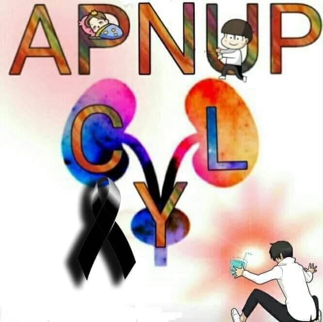 Logo de la Asociación de Patologías Nefro-Urológicas Pediátricas de CyL (APNUP)