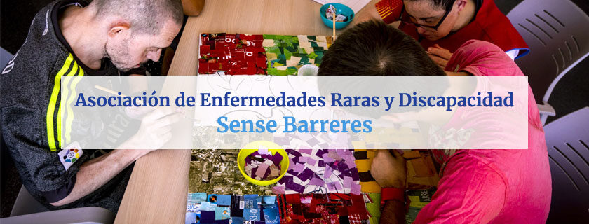 Sense Barreres - Asociación de Enfermedades Raras y Discapacidad