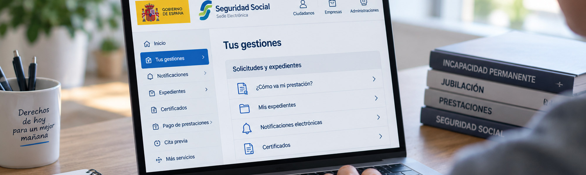 ¿Cómo ver una resolución del INSS?